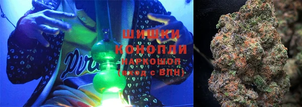 трава Няндома