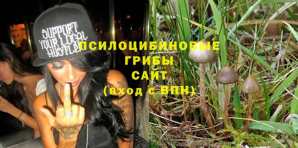 стаф Нея