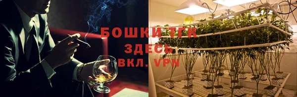 стафф Новокубанск