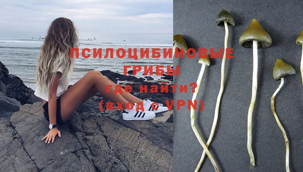 трава Нефтекумск